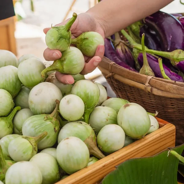 Eggplant/Baingan