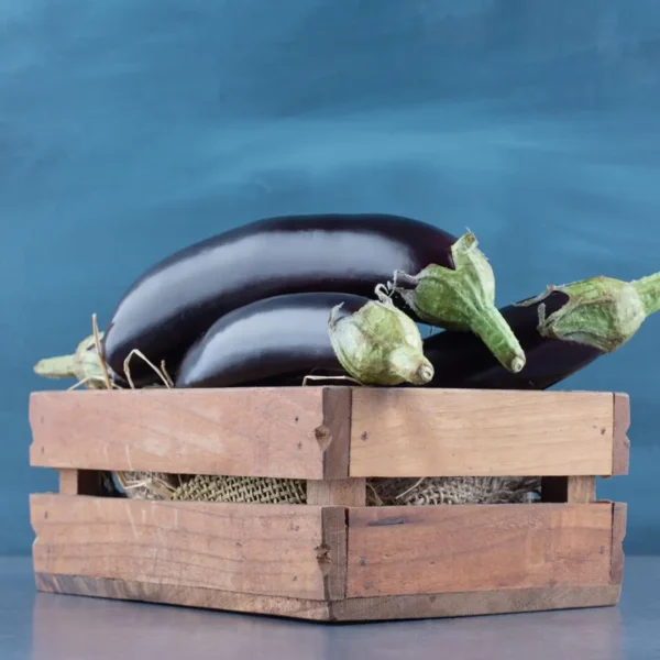 Eggplant/Baingan - Image 3