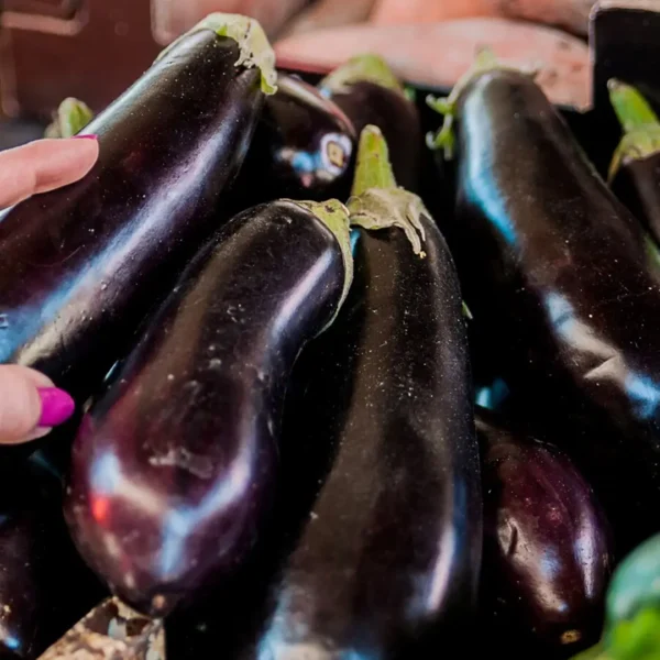Eggplant/Baingan - Image 2