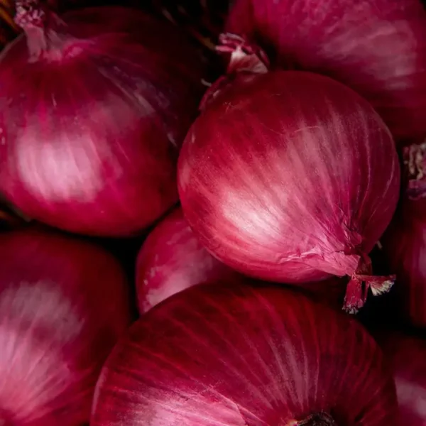 Onion/Pyaaz - Image 2