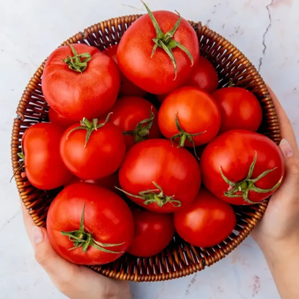 Tomato/Tamatar - Image 2