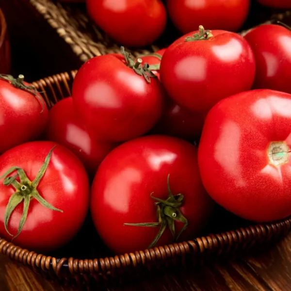 Tomato/Tamatar